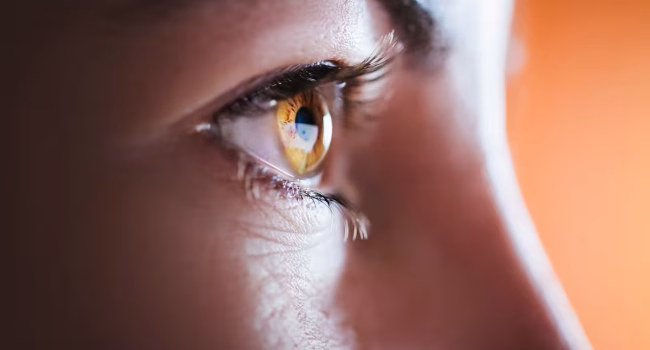 2_woman-brown-eye